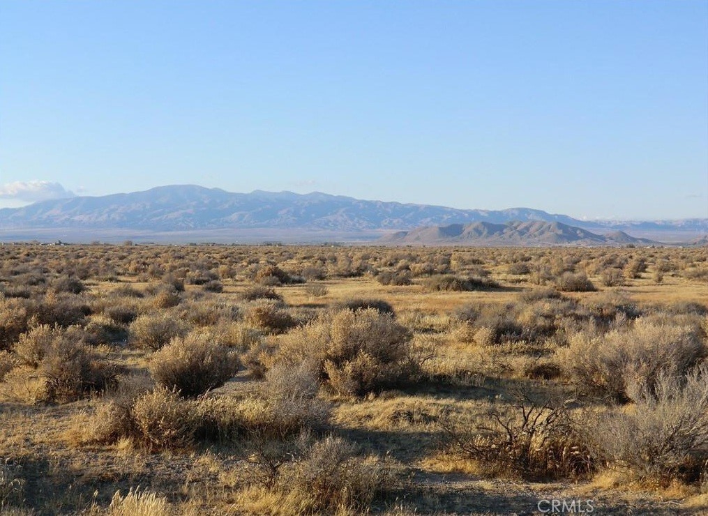 MLS #PW25071848 image #3