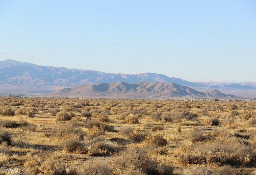 MLS #PW25071848 image #5