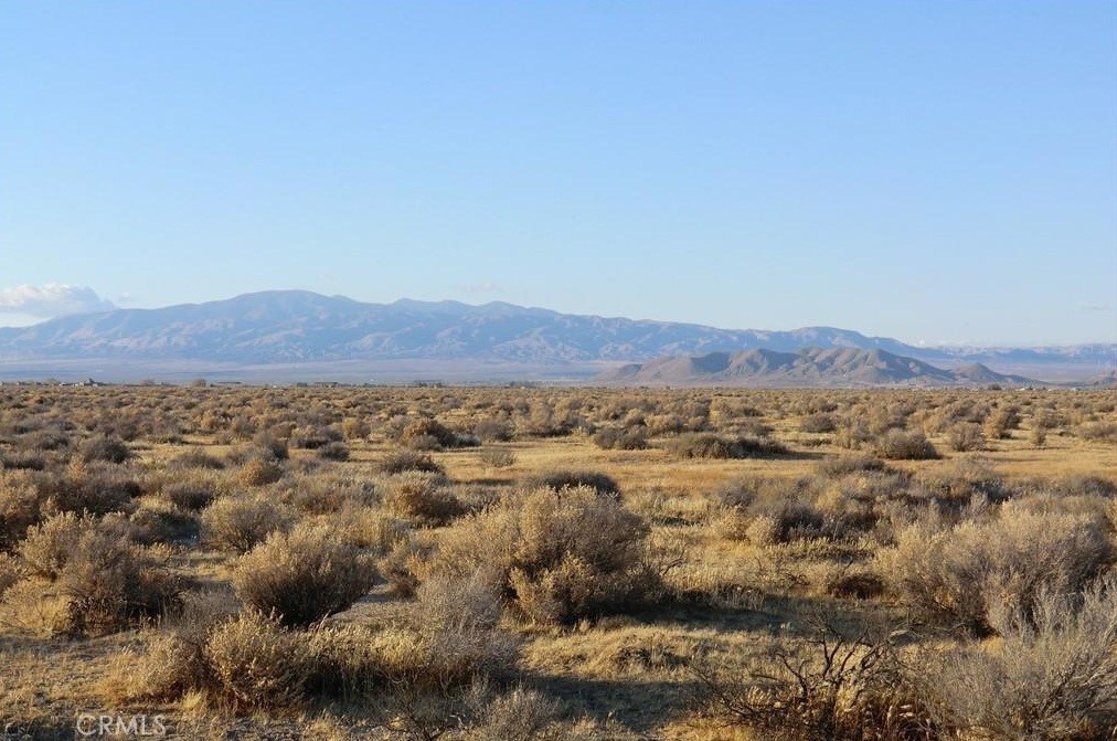 MLS #PW25071848 image #9