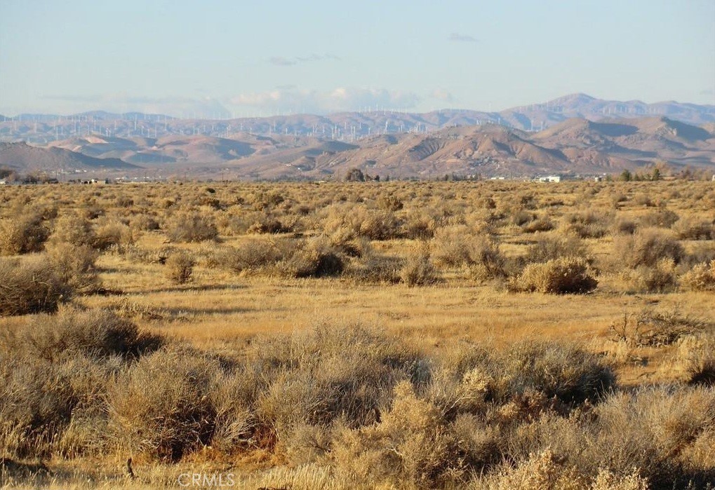 MLS #PW25071936 image #4