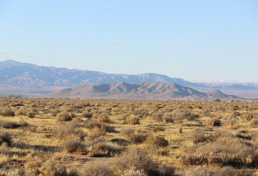 MLS #PW25071936 image #5