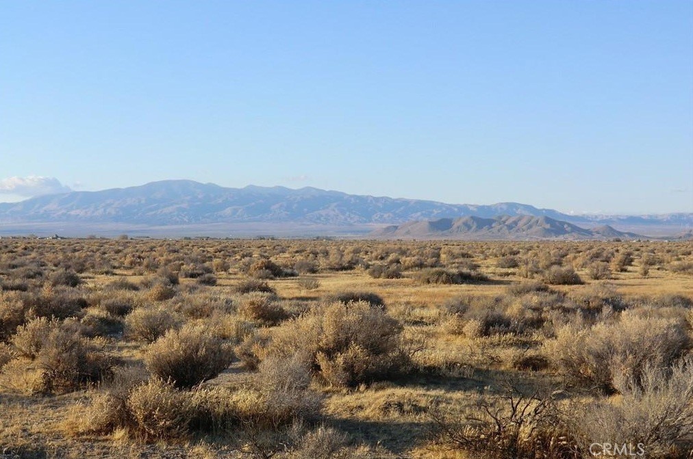 MLS #PW25071936 image #9