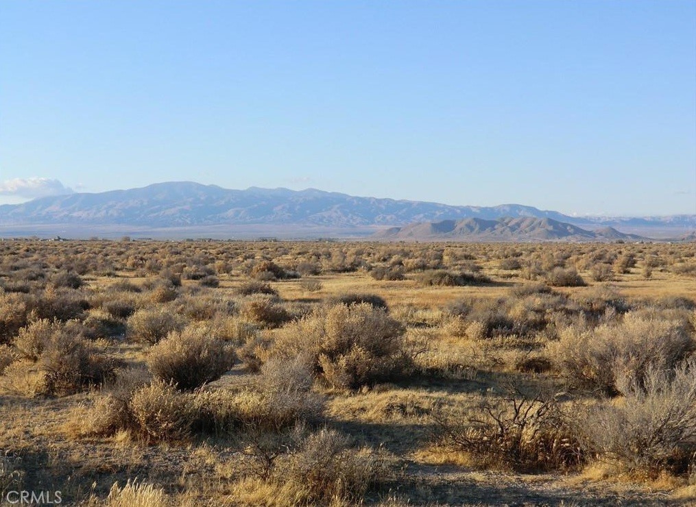 MLS #PW25072048 image #3