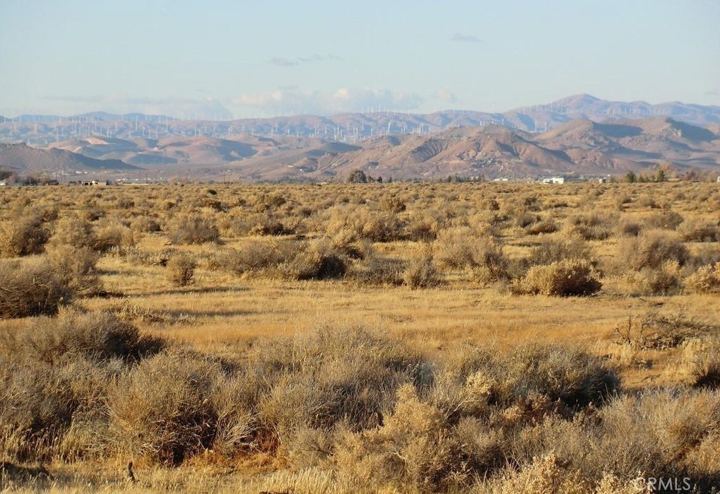 MLS #PW25072048 image #4