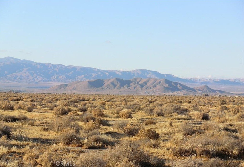 MLS #PW25072048 image #5