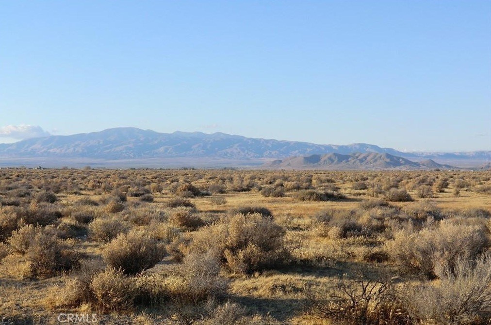 MLS #PW25072048 image #9