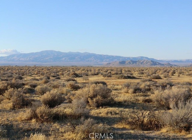 MLS #PW25072069 image #2