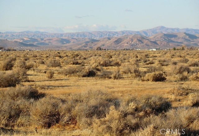 MLS #PW25072069 image #3