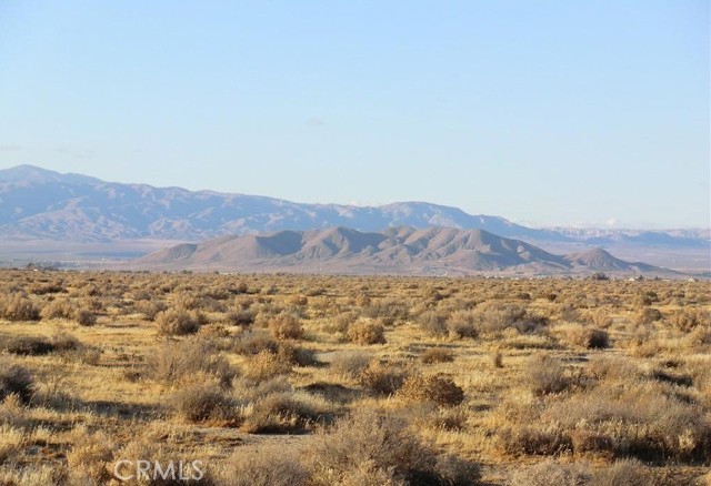 MLS #PW25072069 image #4