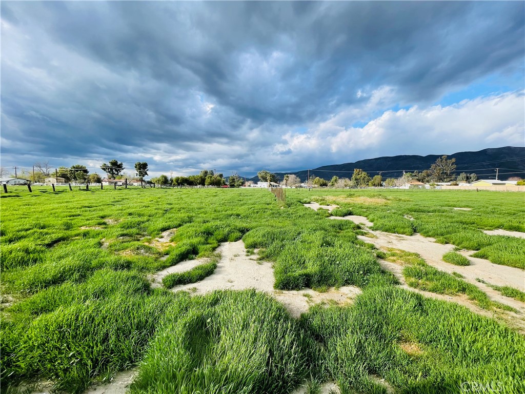 MLS #PW25074897 image #7