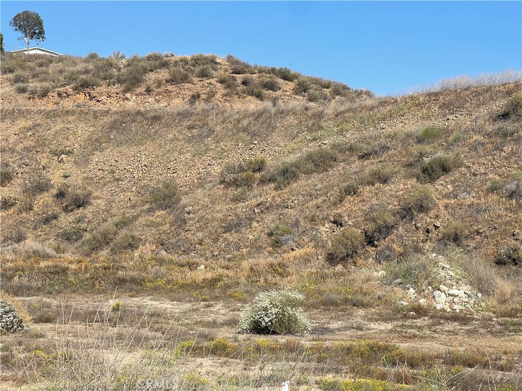 MLS #PW25077195 image #3