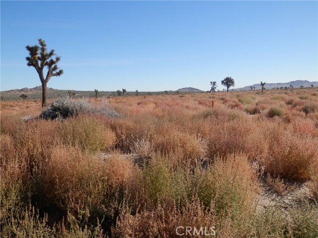 MLS #PW25077731 image #1