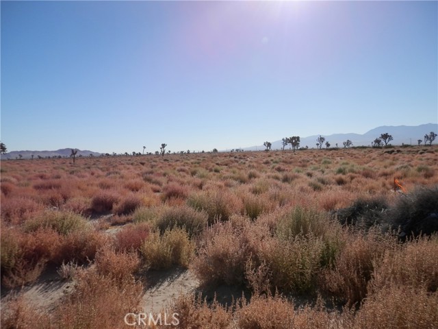 MLS #PW25077731 image #5