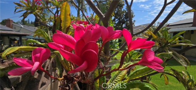 MLS #PW25081747 image #48