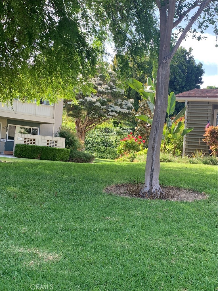 MLS #PW25089188 image #12