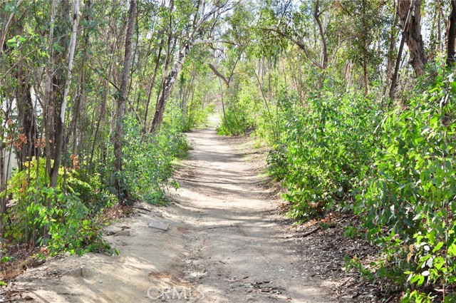 MLS #PW25092326 image #38