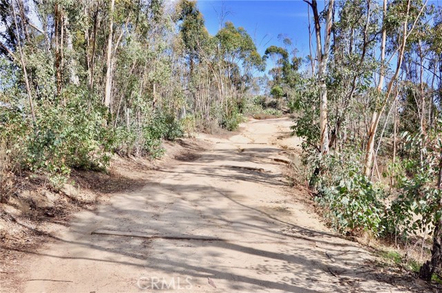 MLS #PW25092326 image #41