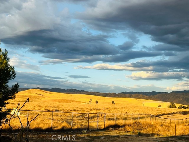 MLS #PW25092339 image #13