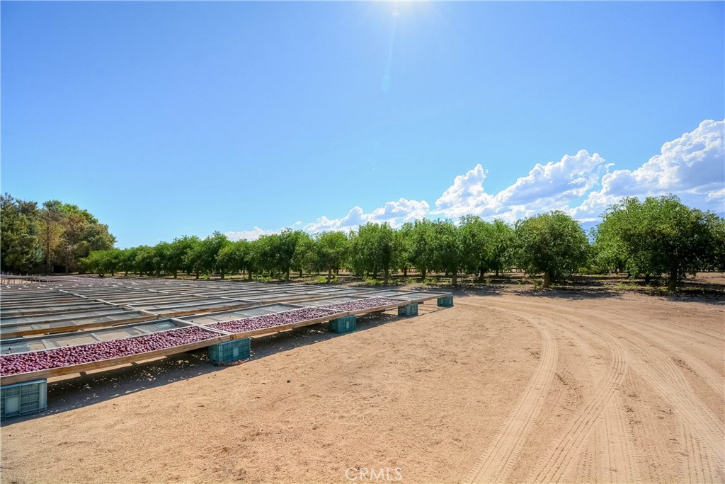 MLS #PW25092844 image #3