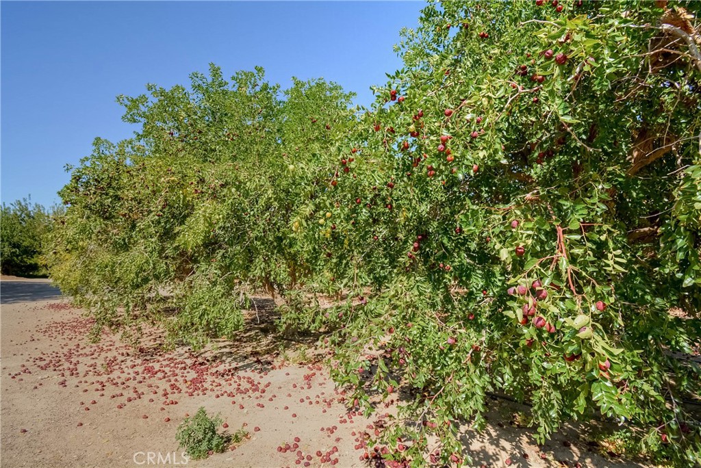 MLS #PW25092844 image #36