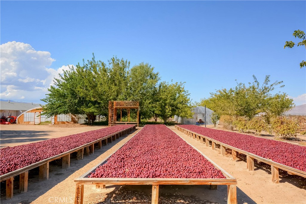 MLS #PW25092844 image #38