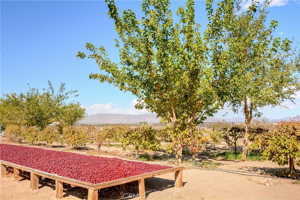 MLS #PW25092844 image #39