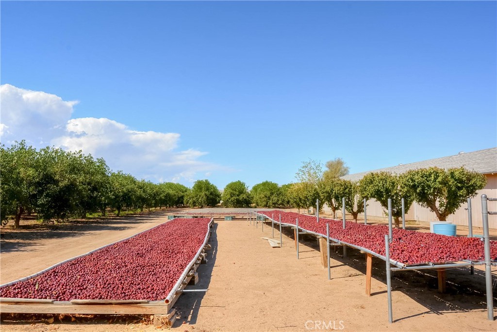 MLS #PW25092844 image #4