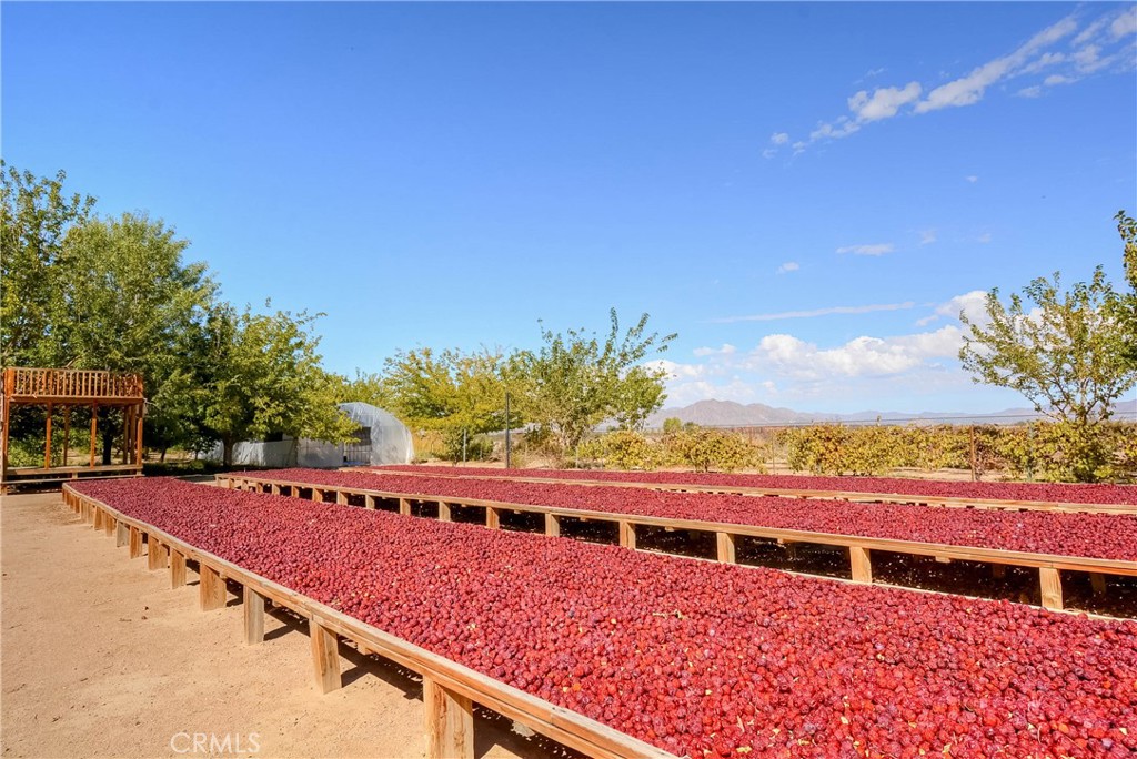 MLS #PW25092844 image #40