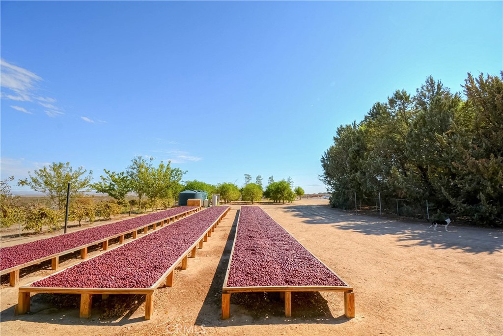 MLS #PW25092844 image #42