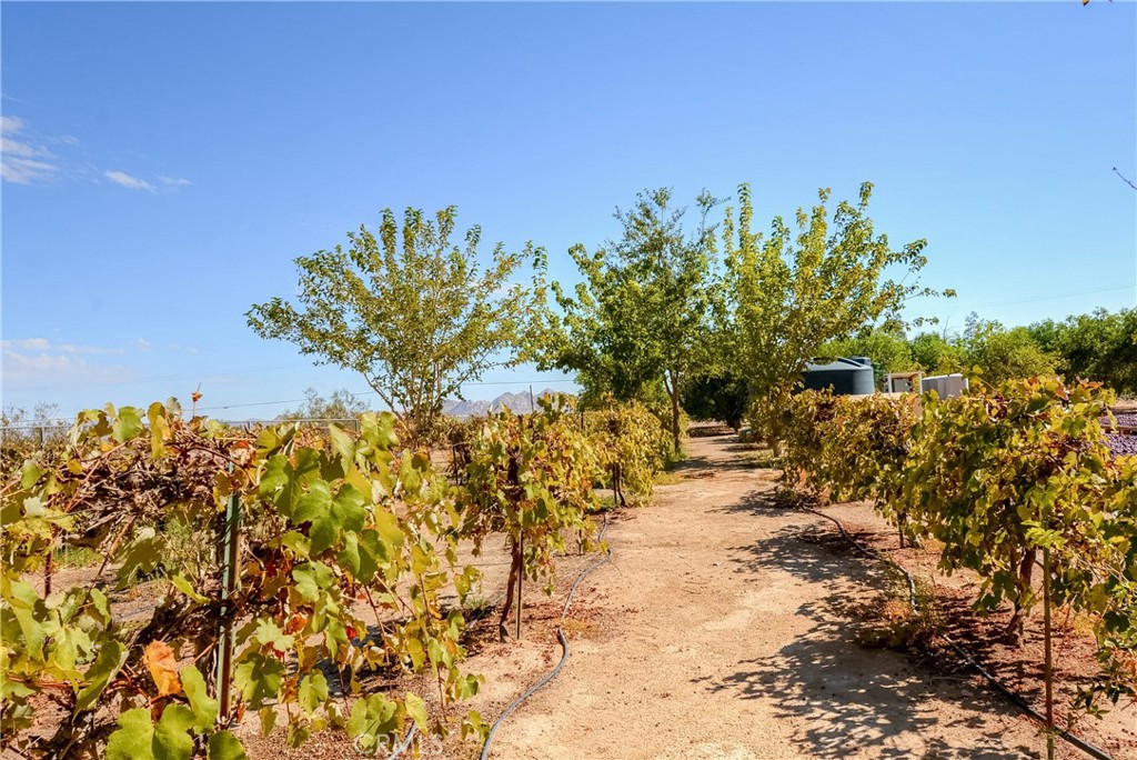 MLS #PW25092844 image #43