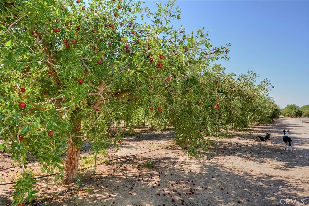 MLS #PW25092844 image #50