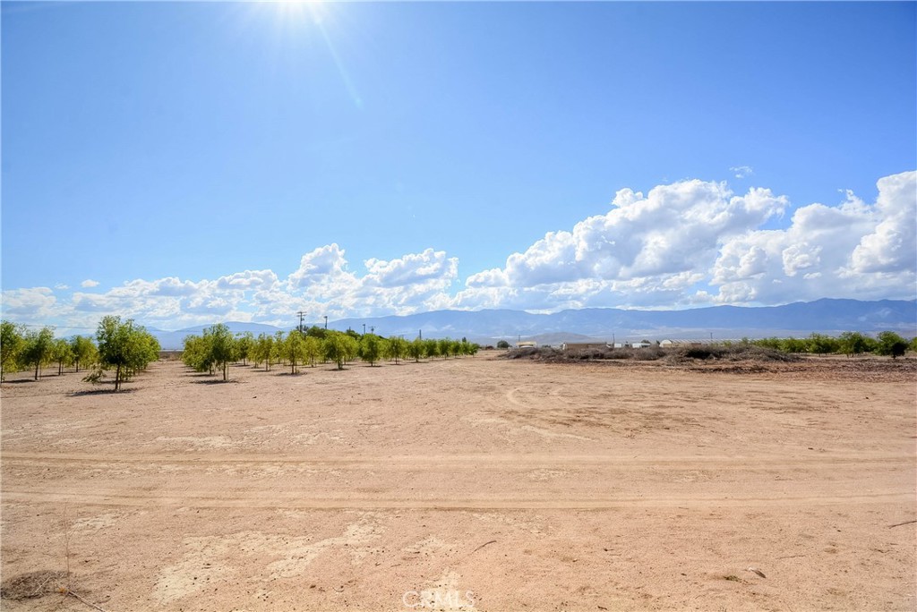 MLS #PW25092844 image #53