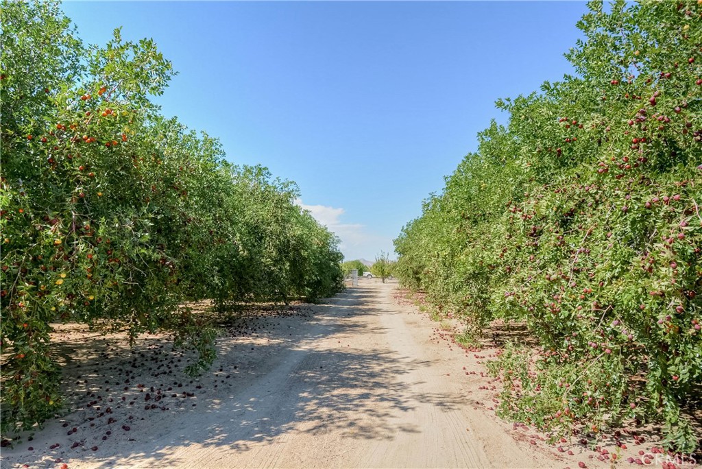 MLS #PW25092844 image #61