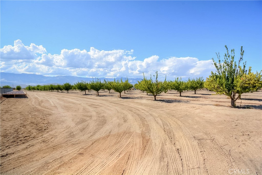 MLS #PW25092844 image #64