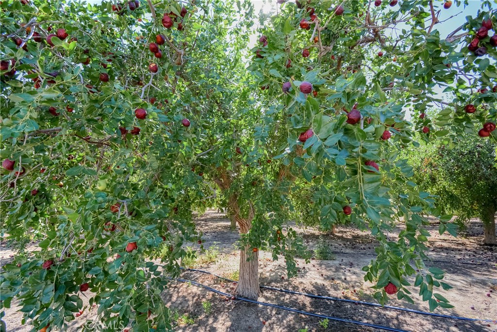 MLS #PW25092844 image #67