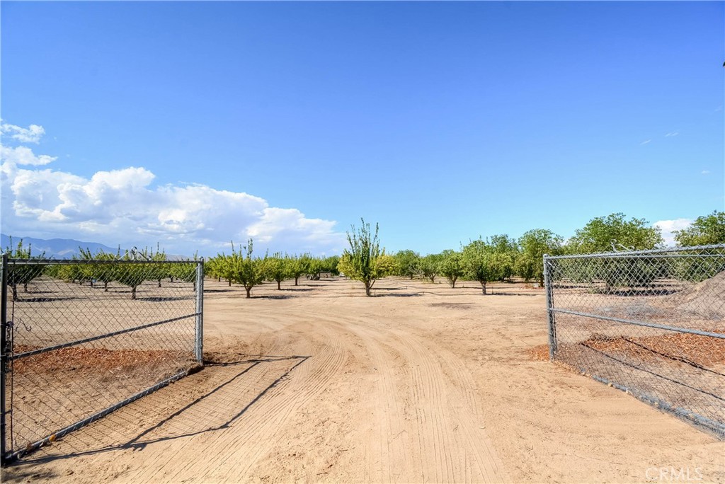 MLS #PW25092844 image #7