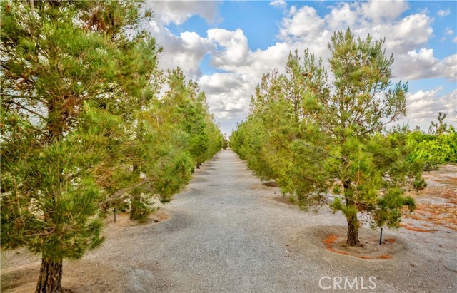 MLS #PW25104493 image #44