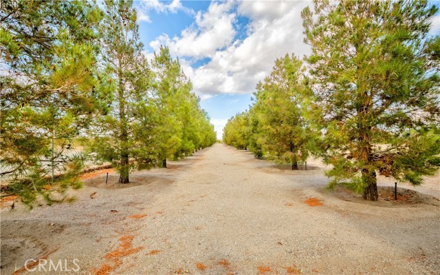 MLS #PW25104493 image #45