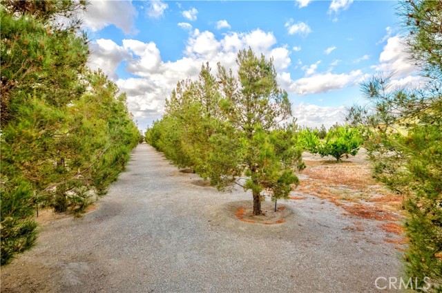 MLS #PW25104493 image #46