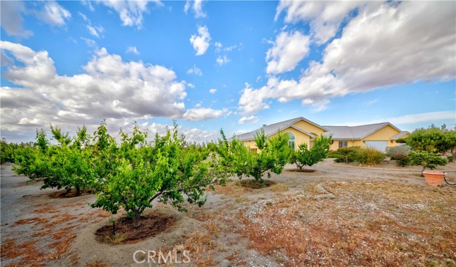 MLS #PW25104493 image #47