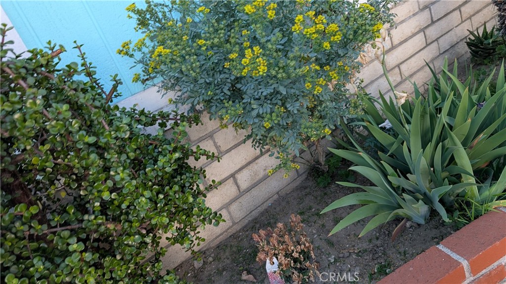 MLS #PW25106587 image #9