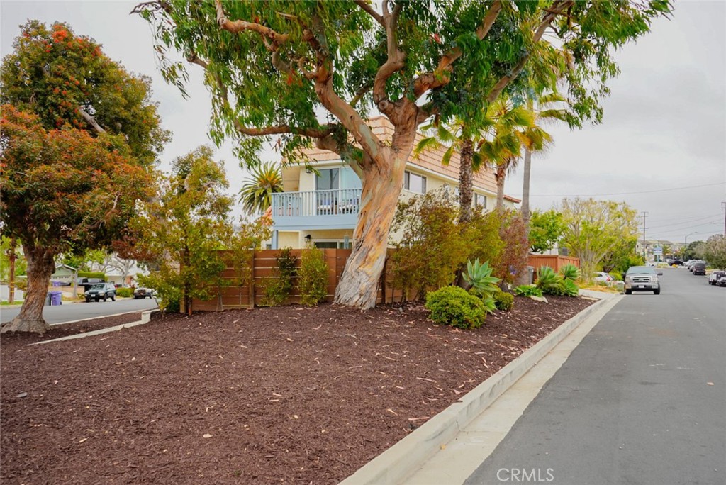 MLS #PW25120858 image #4