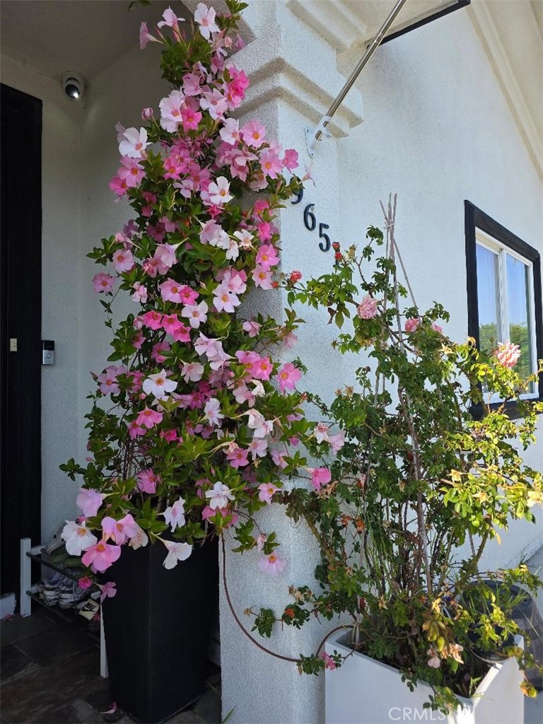 MLS #PW25121605 image #13