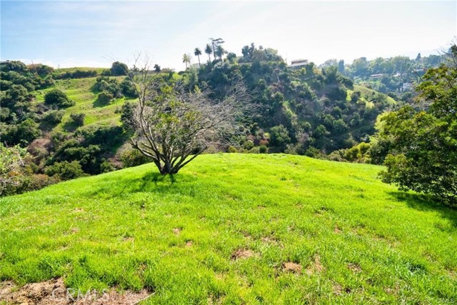 MLS #PW25124461 image #0