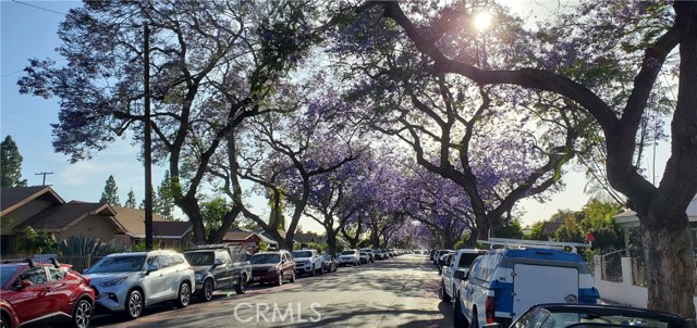 MLS #PW25125649 image #53