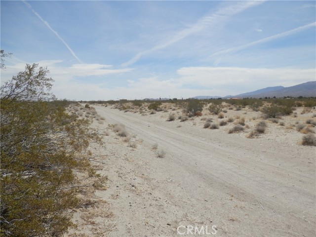 MLS #PW25126371 image #6