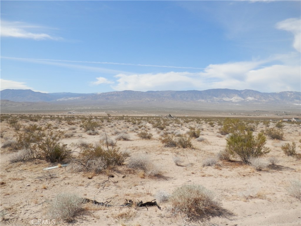 MLS #PW25127156 image #9