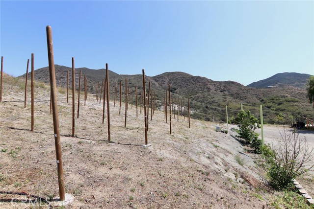 MLS #PW25128968 image #26