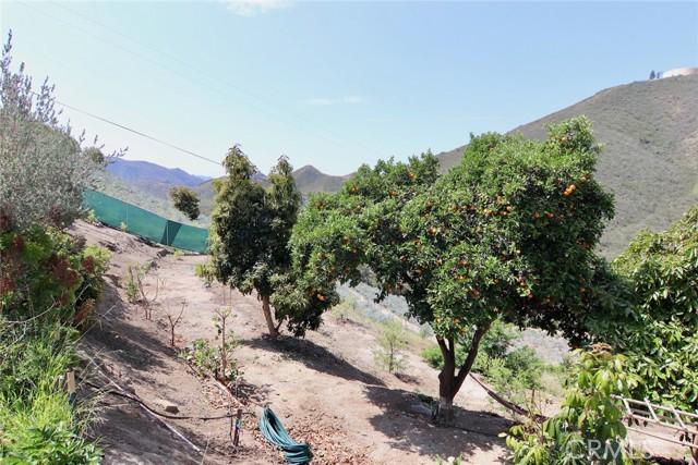 MLS #PW25128968 image #33