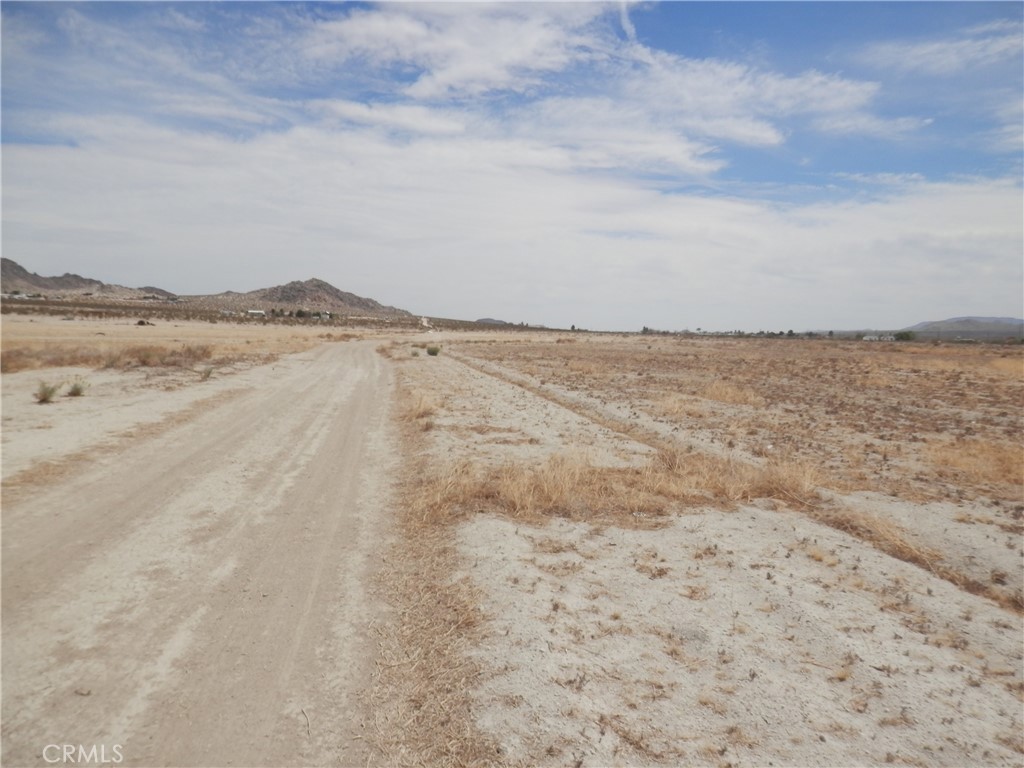 MLS #PW25129913 image #10